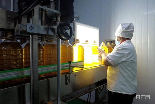 高質(zhì)量發(fā)展 新 速度丨新疆高質(zhì)量推動糧油產(chǎn)業(yè)集群建設(shè)